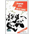 Değerler Serisi Pandanın Hayali Doğan Egmont
