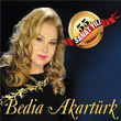 55. Sanat Yl Bedia Akartrk