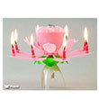 Practika Magic Candle Sihirli Doumgn Mumu