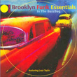 In The Buzzbag Brooklyn Funk Essentials