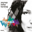 Mozaik Zeynep Baki Karata