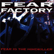 Fear Is The Fear Factory