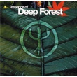 Essence Of The Deep Forest