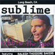 Robbin` The Hood Sublime