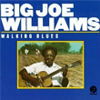 Walking Blues Big Joe Williams