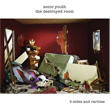 The Destroyed Room Sonic Youth