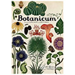 Botanicum  Bankas Kltr Yaynlar