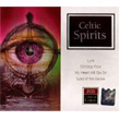 Celtic Spirits 2 CD