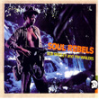 Soul Rebels Bob Marley and The Wailers