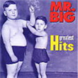 Greatest Hits 17 Track Mr. Big