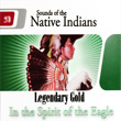 Native Indians In The Spirit Of The Eagle