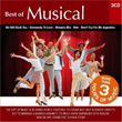 The Best Of Musical 3 CD Set