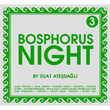 Bosphorus Night 3 by Suat Atedal