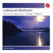 Beethoven Piano Sonatas Vladimir Horowitz