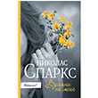 Bana Bak Nickolas Sparks Rusa Kitaplar
