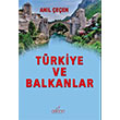 Trkiye ve Balkanlar Anl een Astana Yaynlar