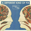 A Different Kind Of Fix Bombay Bicycle Club