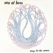 Songs For The Ravens Sea Of Bees