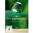Forsenses II