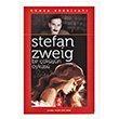 Bir kn yks Stefan Zweig Venedik Yaynlar
