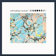 Nocturne Wild Nothing