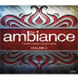 The Ambiance The Best Lounge and Chillout Album Vol 3
