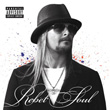 Rebel Soul Kid Rock