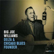 Delta and Chicago Blues Founder Big Joe Williams