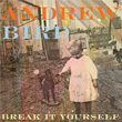 Break It Yourself Andrew Bird