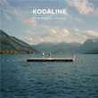 In A Perfect World Kodaline