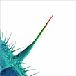 And I`ll Scratch Yours Peter Gabriel