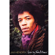 Hear My Train A Comin DVD Jimi Hendrix