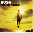 Man On The Run Bush