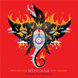 Mehliana Taming The Dragon Mark Guiliana