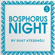 Bosphorus Night 5 by Suat Atedal