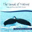 The Sounds Of Nature Natural Sounds With Music The Symphony Of Whales