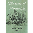 Marvels of Pond Life Henry J. Slack Gece Kitapl
