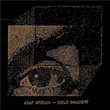 Gold Shadow Asaf Avidan