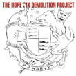 The Hope Six Demolition Project Lp Pj Harvey