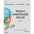 Netter nsan Anatomisi Atlas Nobel Tp Kitabevleri