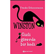 Winston 1: Gizli Görevde Bir Kedi Frauke Scheunemann Epsilon Yayınları