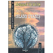 Şeytanizme Rağmen İslami Uyanış Mehmed Alagaş İnsan Dergisi Yayınları