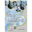 Türk Edebiyatı Başucu Kitabı Hakan Çakmak Endemik Yayınları