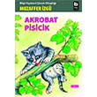 Akrobat Pisicik Bilgi Yaynevi