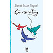 Gvercinky Ahmet Turan Tiryaki Tn Kitap
