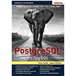 Veri Tabanı Yönetim Sistemleri PostgreSQL Abaküs Yayınları