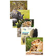 Afrikada Safari Seti 5 Kitap Beta Kids