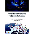 Avrupa Birlii Enerji Hukuku ve Gvenlik Alglamalar alayan Kitabevi
