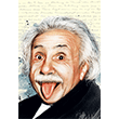 Einstein Yumuak Kapak Defter Aylak Adam Hobi