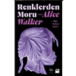 Renklerden Moru Alice Walker Doğan Kitap